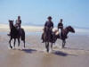 thumb_2_papiesfontein.jpg